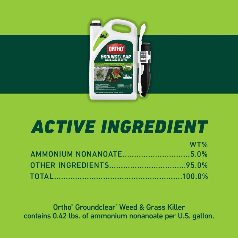 Ortho® GroundClear® Weed & Grass Killer with Comfort Wand® image number null